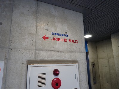 ����w�摜