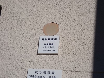 ����w�摜