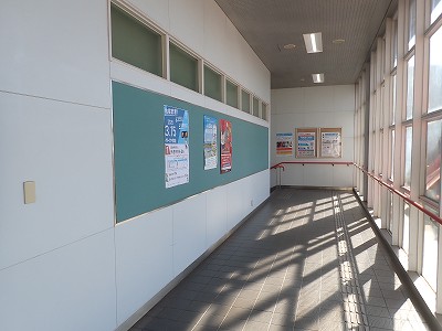 ����w�摜