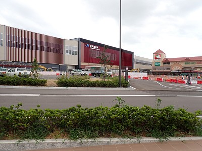 ���ꉷ��w�摜