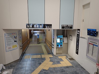 ���ꉷ��w�摜