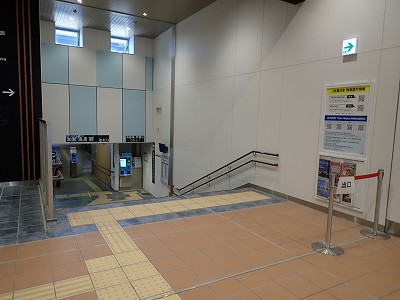 ���ꉷ��w�摜