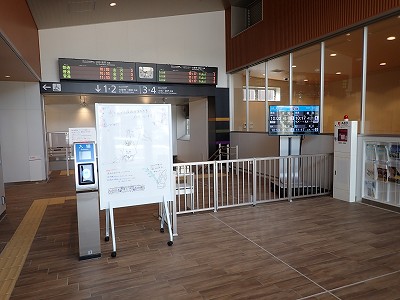���ꉷ��w�摜
