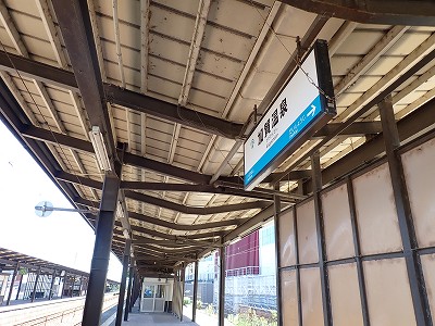 ���ꉷ��w�摜
