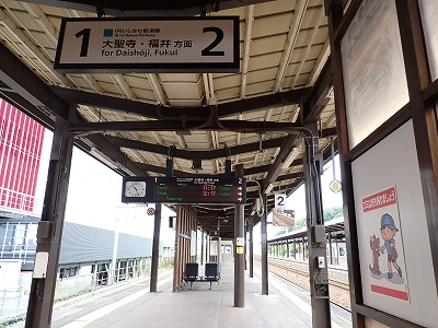 ���ꉷ��w�摜