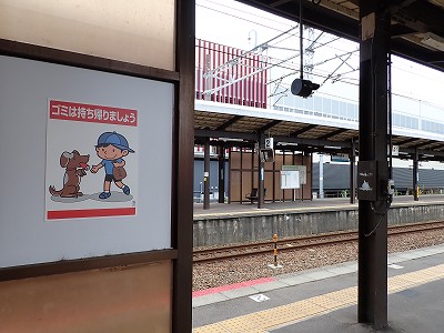 ���ꉷ��w�摜
