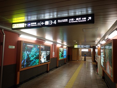 ���ꉷ��w�摜