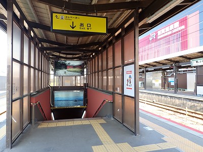 ���ꉷ��w�摜