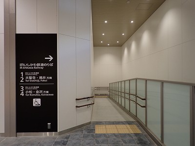 ���ꉷ��w�摜