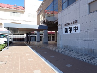 ���ꉷ��w�摜