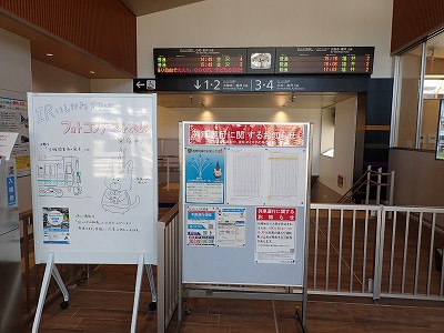 ���ꉷ��w�摜