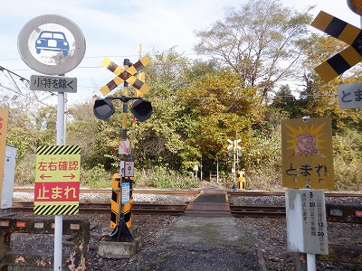 䗘w摜