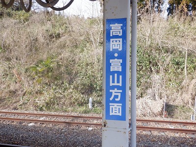 䗘w摜