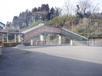 䗘w摜