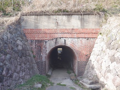 䗘w摜