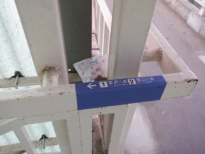 䗘w摜