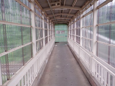 䗘w摜