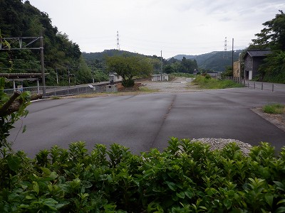 䗘w摜