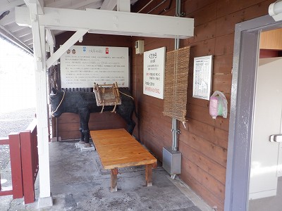 䗘w摜