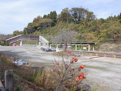 䗘w摜