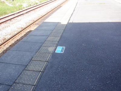 �䗘�����w�摜