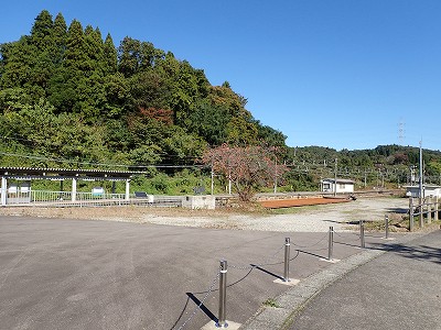 �䗘�����w�摜
