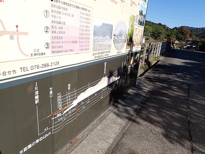 �䗘�����w�摜