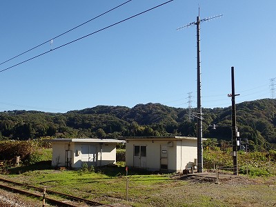 �䗘�����w�摜