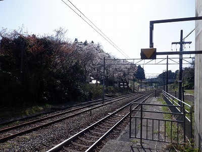 �䗘�����w�摜