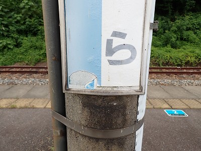 �䗘�����w�摜