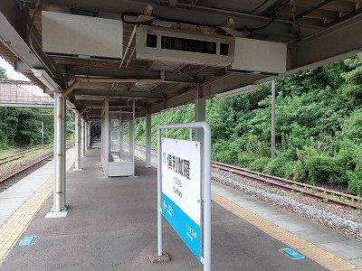 �䗘�����w�摜