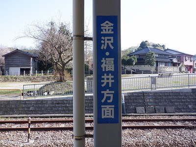 �䗘�����w�摜