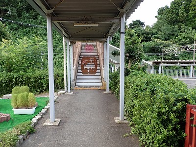 �䗘�����w�摜