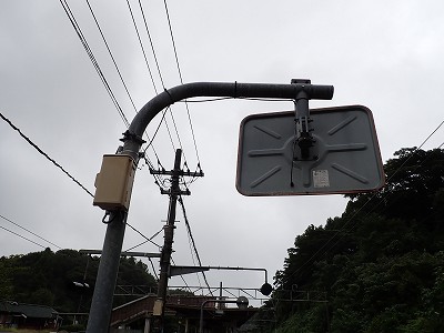 �䗘�����w�摜