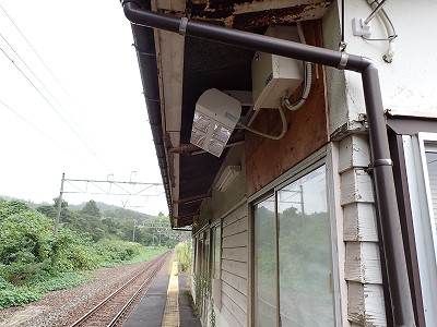 �䗘�����w�摜