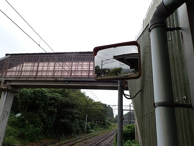 �䗘�����w�摜