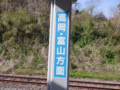 �䗘�����w�摜