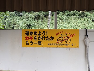 �䗘�����w�摜