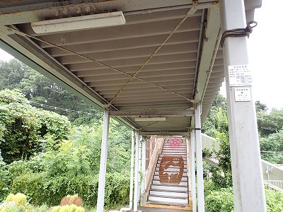 �䗘�����w�摜