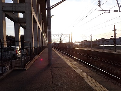 �X�{�w�摜