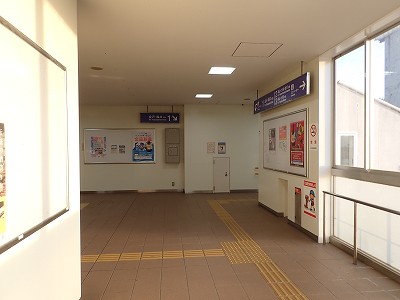 �X�{�w�摜