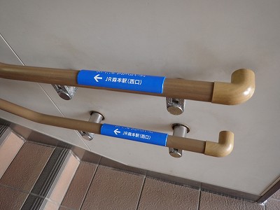 �X�{�w�摜