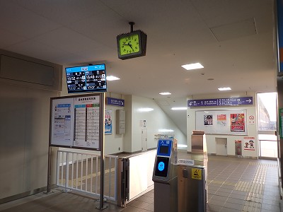 �X�{�w�摜