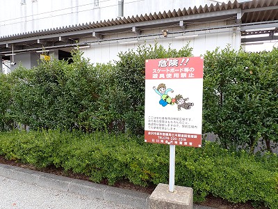 �X�{�w�摜