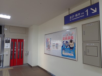 �X�{�w�摜