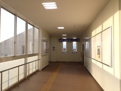 �X�{�w�摜