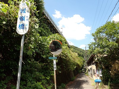 ������w�摜