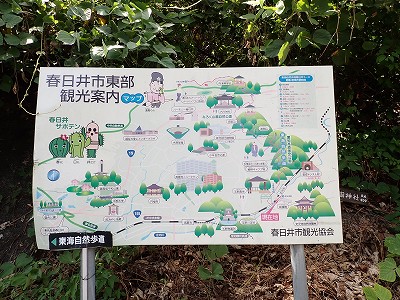 ������w�摜