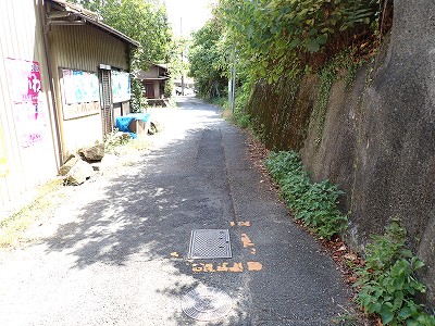 ������w�摜