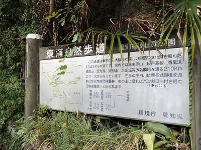 ������w�摜
